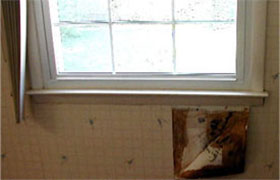 A window in the bathroom with some debris on it