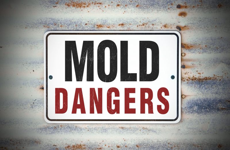 A sign that says mold dangers on the side of a building.