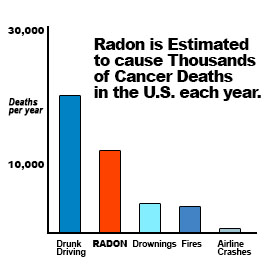 A graph showing the number of radon deaths in each year.